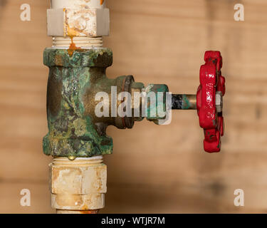 PVC plastic plumbing pipe with brass shutoff valve corroded and leaking water at thread fitting and stem packing Stock Photo
