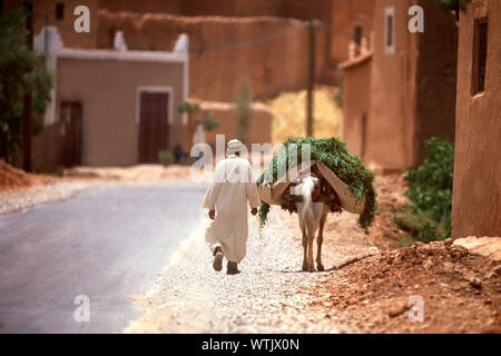 A man is walking with his horse carrying fodder. Stock Photo