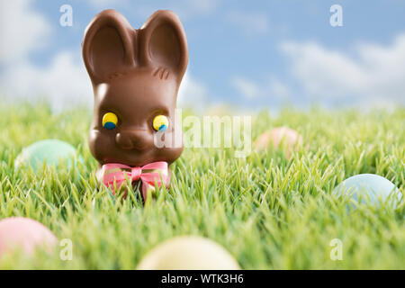 Chocolate Easter bunny and eggs in grass Stock Photo