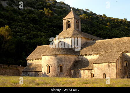 The beautiful Senanque Abbey near Gordes, France Stock Photo