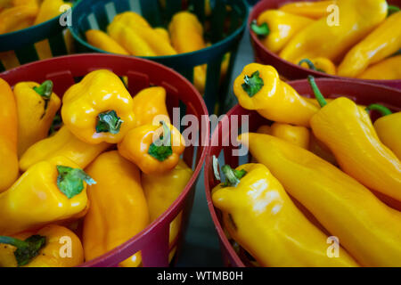 Yellow peppers in baskets on sale at a local farmers market Stock Photo