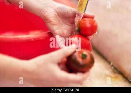 Woman washing organic homegrown tomatoes in kitchen sink. Slow motion .  Stock Photo