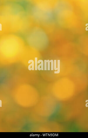 green, yellow, orange bokeh blurred background Stock Photo