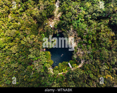Tiny Cenote Crystal Lake with clean water in middle of green forest Stock Photo