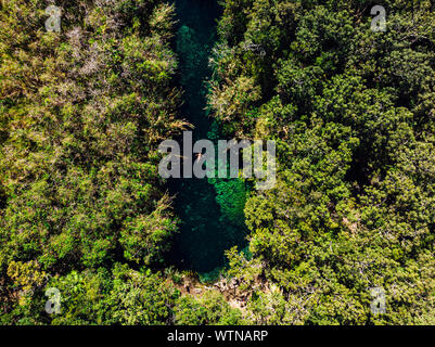 Tiny Cenote Escondido Lake with clean water in middle of green forest Stock Photo