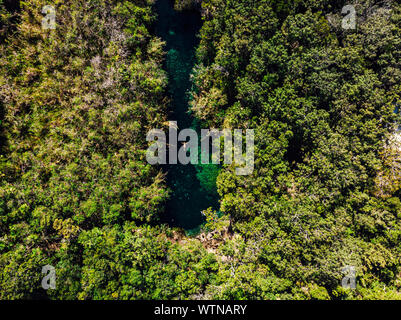 Tiny Cenote Escondido Lake with clean water in middle of green forest Stock Photo
