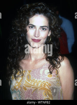 Kim Delaney, 1992, Photo By Michael Ferguson/PHOTOlink Photo via Credit