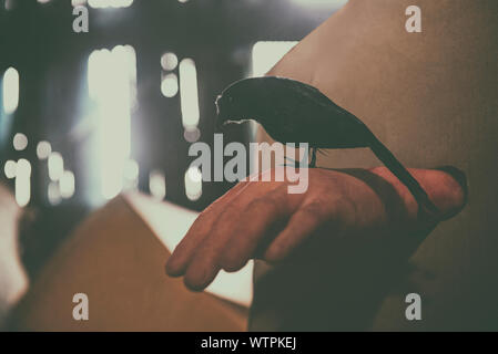 Crow sitting on a zombie hand halloween in the abandoned house at night with moonlight Stock Photo