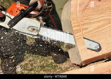 Professional chainsaw blade cutting log of wood. Chainsaw bar and cutting chain. Blade of a chainsaw in the garden. Stock Photo