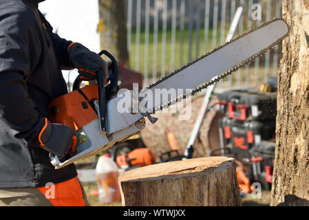 Professional chainsaw blade cutting log of wood. Chainsaw bar and cutting chain. Blade of a chainsaw in the garden. Stock Photo
