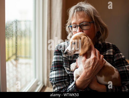 60 year old woman holding her new dachshund puppy at home by window Stock Photo