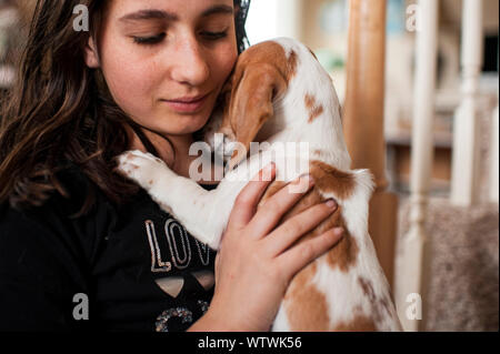 Girl 10-12 holding and hugging new dachshund puppy at home Stock Photo