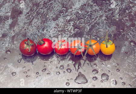 Perfect color gradation line of diverse kinds of tomatoes on wet surface Stock Photo