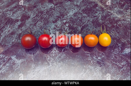 Perfect color gradation line of diverse kinds of tomatoes on the table Stock Photo