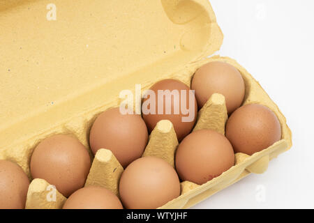 Egg carton with eggs top view Stock Photo