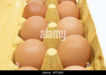 Egg carton with eggs top view Stock Photo