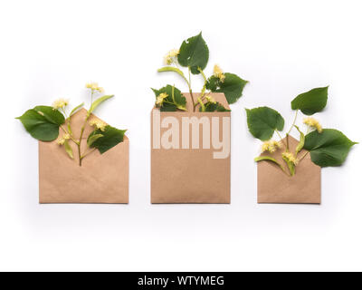 Herbs in craft paper envelopes on clean white background Stock Photo