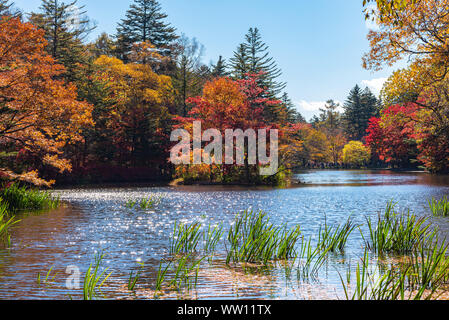 Kumobaike Pond autumn foliage scenery view, multicolor reflecting on surface in sunny day. Colorful trees with red, orange, yellow, golden colors Stock Photo