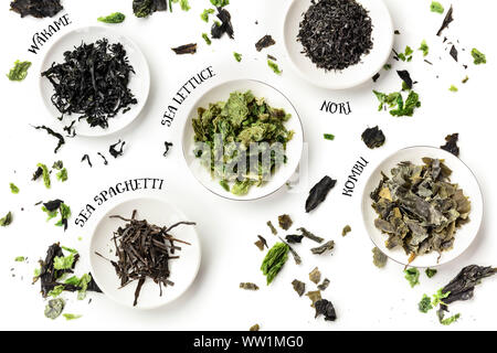 Dry seaweed, sea vegetables, with their names, shot from above on a white background Stock Photo