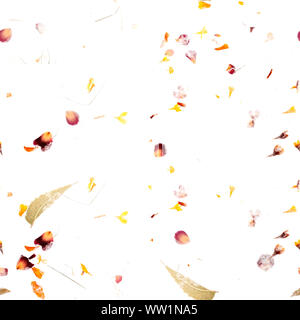 Seamless autumn pattern. A repeat print with scattered dry leaves and petals on a white background Stock Photo