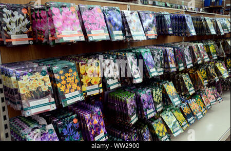 Spring Bulb Packets Packets of bulbs on display in garden centre Stock Photo - Alamy