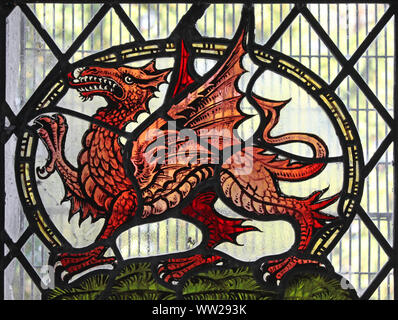 Welsh Dragon Stained Glass Windown in St Gwyddelan's Church, Dolwyddelan, Gwynedd, Wales Stock Photo