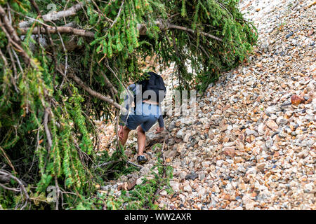 Avalanche debris fallen tree with man on Conundrum Creek Trail in Aspen, Colorado in 2019 summer climbing on rocks under tree Stock Photo