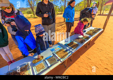 Kings Creek Station, Northern Territory, Australia - Aug 21, 2019: families with children observe variety colorful bush seeds gathered at Karrke Stock Photo