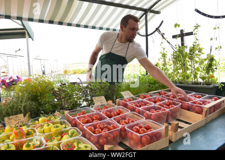 farmer sells fruit and vegetables from his own cultivation fresh from the field and from the greenhouse Stock Photo