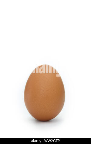 White and brown fresh eggs with dry hay straw. Nature background ...