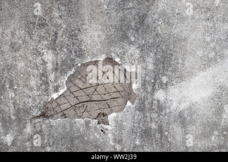 Texture of old gray concrete  stucco wall background. Stock Photo
