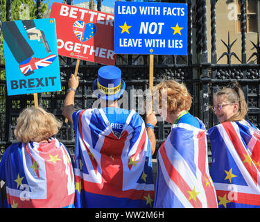 Westminster, London, UK. 12th Sep, 2019. Anti-Brexit protesters from SODEM (Stand of Defiance European Movement), including Steve Bray, rally with placards and flags outside the main gates at Parliament today. Credit: Imageplotter/Alamy Live News Stock Photo