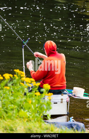 Live bloodworm in a box container. Red worms for winter fishing. A woman  holds a box of bloodworms in her hands and prepares to put a worm on a  fishin Stock Photo - Alamy
