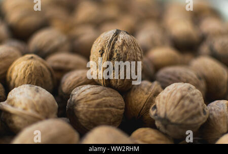 Fresh walnuts in shell. Selective focus photo. Stock Photo