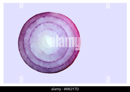 Cross-section of the blue onion bulbs, top view. Stock Photo