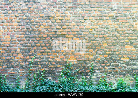Old, damaged by time, stone wall. Natural background for designers. Stock Photo