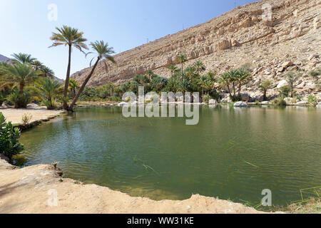 Natural pool in Wadi Bani Khalid, an oasis in the desert, Oman, Middle East Stock Photo