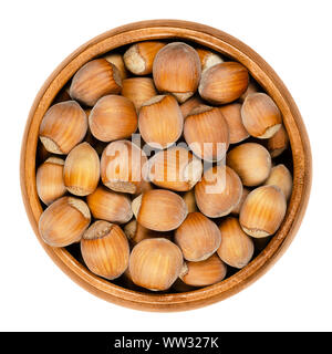 Unshelled ripe hazelnuts in a wooden bowl on white background. Seeds of Corylus avellana, a species native in Europe. Edible raw fruits with shells. Stock Photo