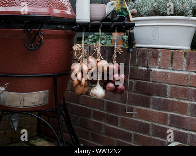 onions and garlic hanging from a bbq in an English country garden Stock Photo