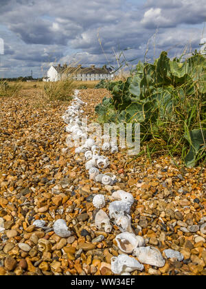 White Shell Line on Shingle Beach Created by Two Cancer Survivors Over a Decade Ago Stock Photo