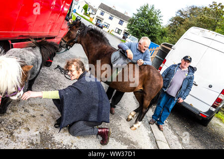 Glenties, County Donegal, Ireland. 12th September 2019. A woman engages with a pony at the annual Harvest Fair. The fair is the biggest of it's kind in Ireland and the main N56 road through the town is closed for the day with diversions in place. Stock Photo