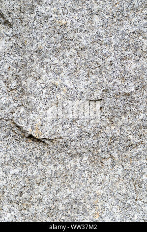 Abstract background, small gray and white spots. Stock Photo