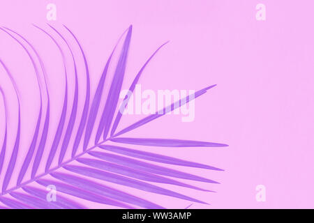 Abstract tropical nature colored background Stock Photo