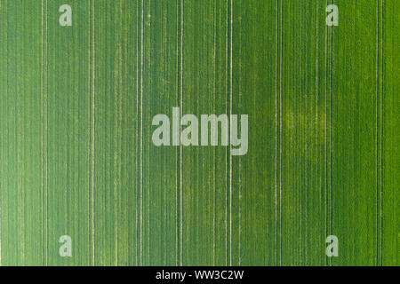green meadow seen from above Stock Photo