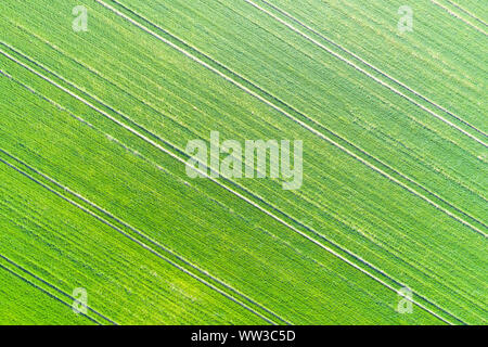 green meadow seen from above Stock Photo