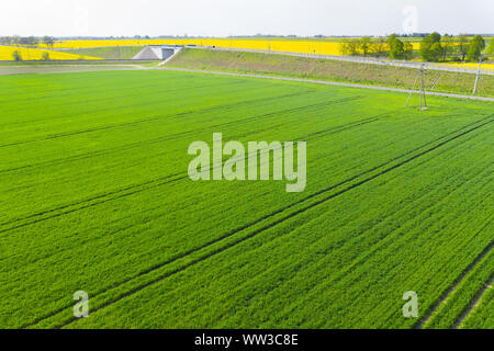 green meadow seen from above Stock Photo