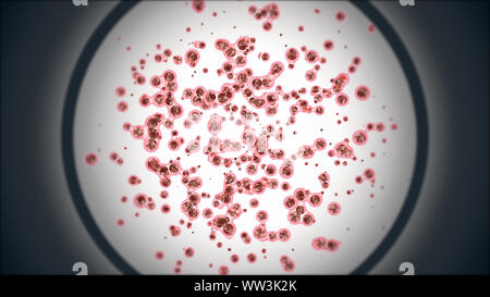 Embryonic stem cells colony under a microscope 3D illustration Stock ...