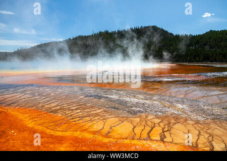 Steam rises from the Grand Prismatic Spring in Yellowstone National Park. It is the largest hot spring at Yellowstone National Park with 200-330 feet