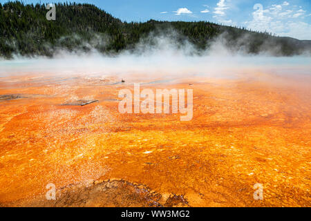 Steam rises from the Grand Prismatic Spring in Yellowstone National Park. It is the largest hot spring at Yellowstone National Park with 200-330 feet Stock Photo