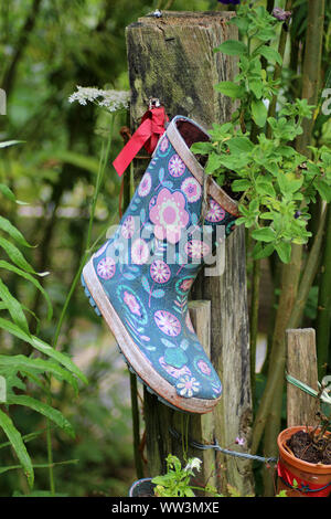 Flowers growing in an old boot Stock Photo: 49837017 - Alamy